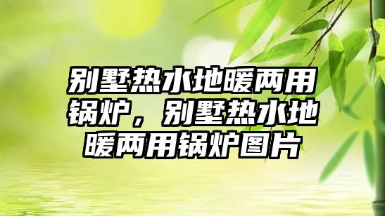 別墅熱水地暖兩用鍋爐，別墅熱水地暖兩用鍋爐圖片