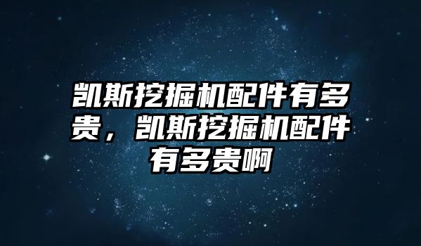 凱斯挖掘機配件有多貴，凱斯挖掘機配件有多貴啊