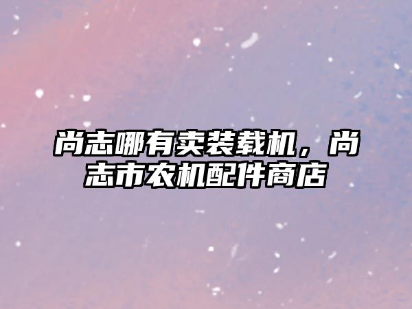 尚志哪有賣裝載機，尚志市農(nóng)機配件商店
