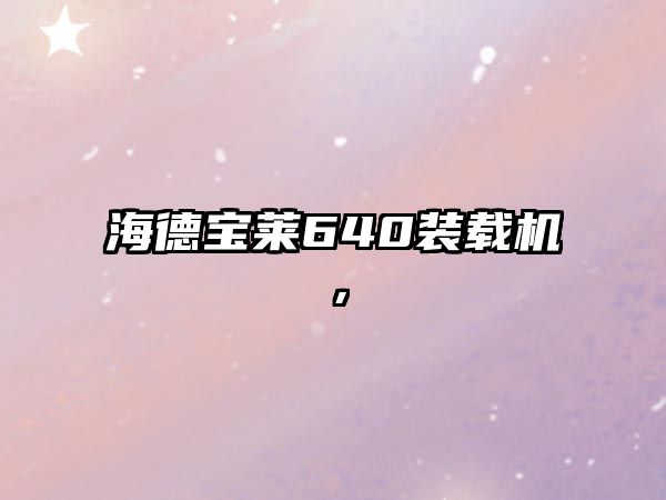 海德寶萊640裝載機，