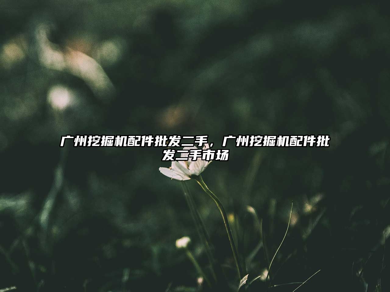 廣州挖掘機(jī)配件批發(fā)二手，廣州挖掘機(jī)配件批發(fā)二手市場(chǎng)