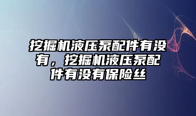挖掘機(jī)液壓泵配件有沒有，挖掘機(jī)液壓泵配件有沒有保險(xiǎn)絲