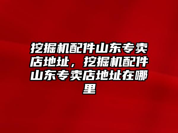 挖掘機(jī)配件山東專賣店地址，挖掘機(jī)配件山東專賣店地址在哪里