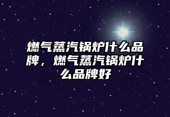 燃氣蒸汽鍋爐什么品牌，燃氣蒸汽鍋爐什么品牌好