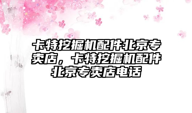 卡特挖掘機(jī)配件北京專賣店，卡特挖掘機(jī)配件北京專賣店電話