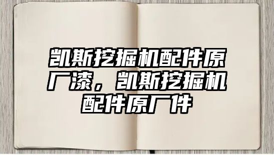 凱斯挖掘機(jī)配件原廠漆，凱斯挖掘機(jī)配件原廠件