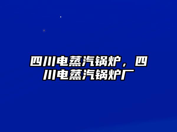 四川電蒸汽鍋爐，四川電蒸汽鍋爐廠