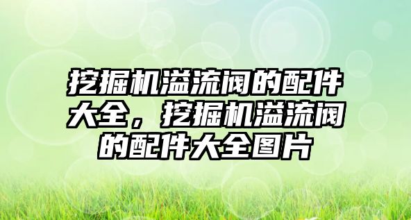挖掘機(jī)溢流閥的配件大全，挖掘機(jī)溢流閥的配件大全圖片