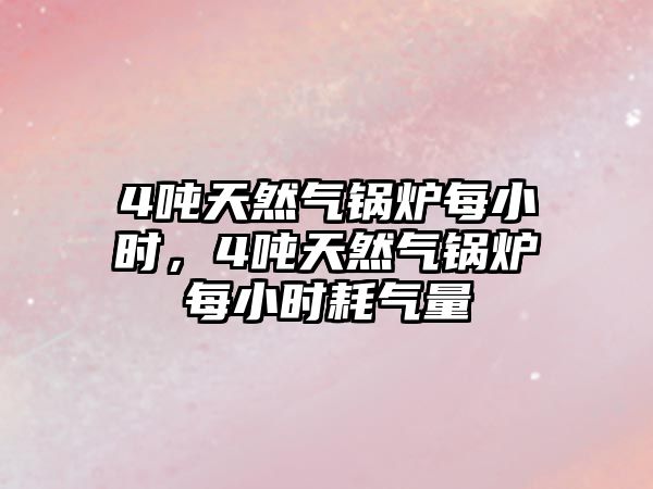 4噸天然氣鍋爐每小時(shí)，4噸天然氣鍋爐每小時(shí)耗氣量
