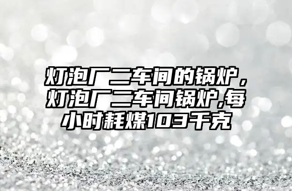 燈泡廠二車間的鍋爐，燈泡廠二車間鍋爐,每小時耗煤103千克