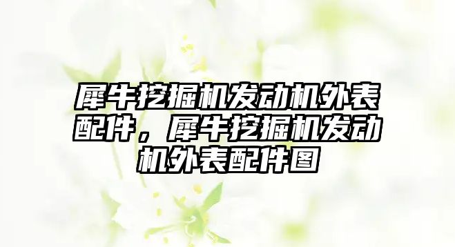 犀牛挖掘機(jī)發(fā)動(dòng)機(jī)外表配件，犀牛挖掘機(jī)發(fā)動(dòng)機(jī)外表配件圖