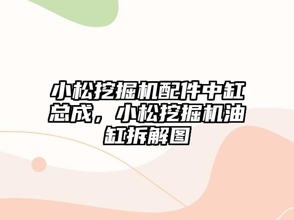 小松挖掘機(jī)配件中缸總成，小松挖掘機(jī)油缸拆解圖