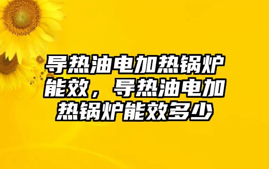 導(dǎo)熱油電加熱鍋爐能效，導(dǎo)熱油電加熱鍋爐能效多少