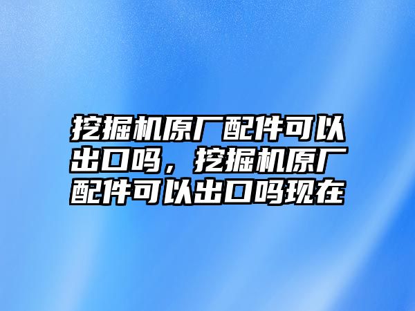 挖掘機原廠配件可以出口嗎，挖掘機原廠配件可以出口嗎現(xiàn)在