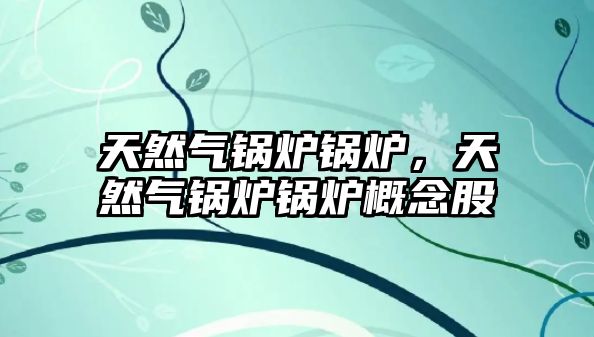 天然氣鍋爐鍋爐，天然氣鍋爐鍋爐概念股
