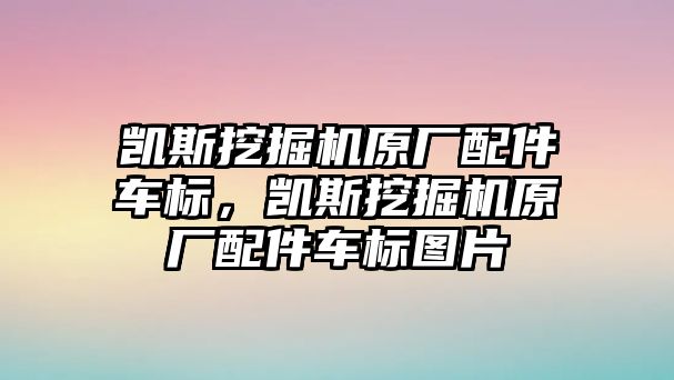 凱斯挖掘機(jī)原廠配件車標(biāo)，凱斯挖掘機(jī)原廠配件車標(biāo)圖片