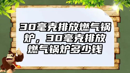 30毫克排放燃?xì)忮仩t，30毫克排放燃?xì)忮仩t多少錢
