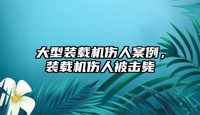 大型裝載機傷人案例，裝載機傷人被擊斃