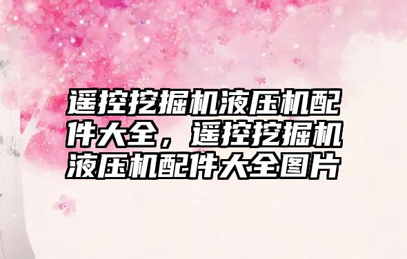 遙控挖掘機液壓機配件大全，遙控挖掘機液壓機配件大全圖片
