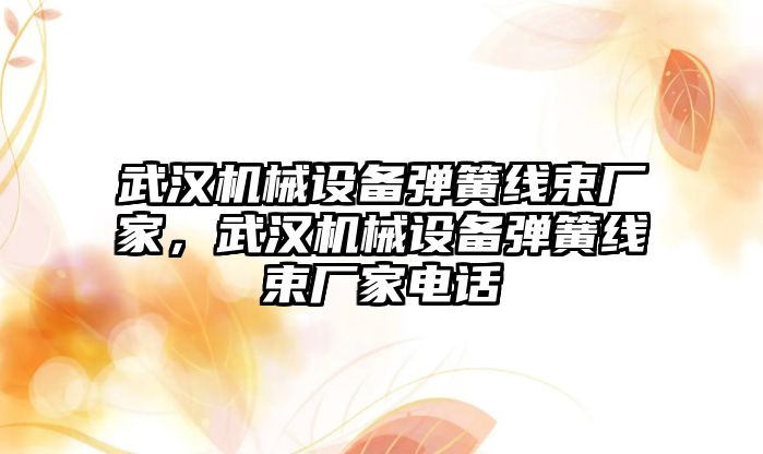 武漢機(jī)械設(shè)備彈簧線(xiàn)束廠家，武漢機(jī)械設(shè)備彈簧線(xiàn)束廠家電話(huà)