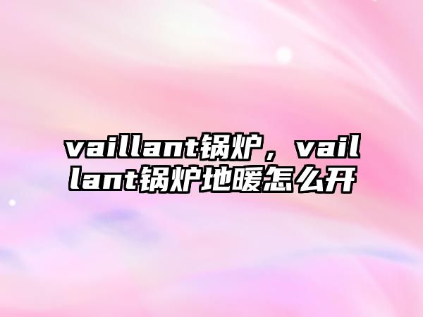 vaillant鍋爐，vaillant鍋爐地暖怎么開
