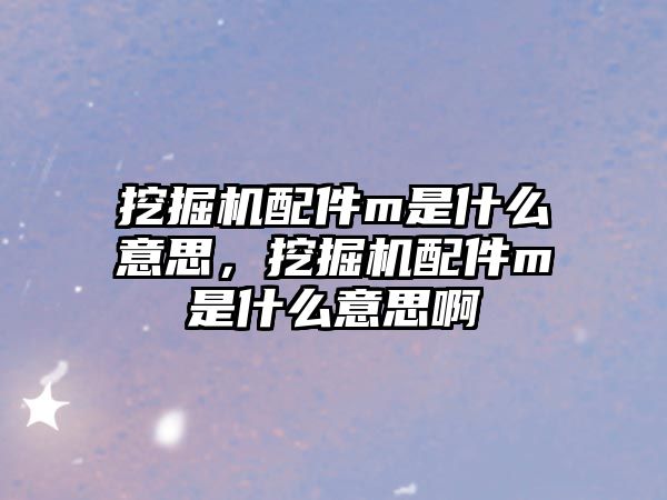 挖掘機(jī)配件m是什么意思，挖掘機(jī)配件m是什么意思啊