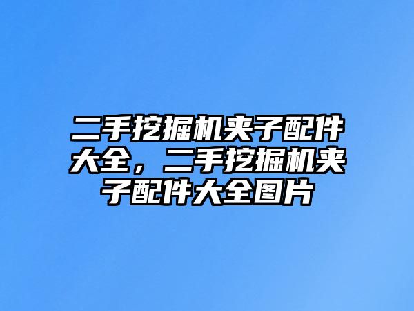 二手挖掘機(jī)夾子配件大全，二手挖掘機(jī)夾子配件大全圖片