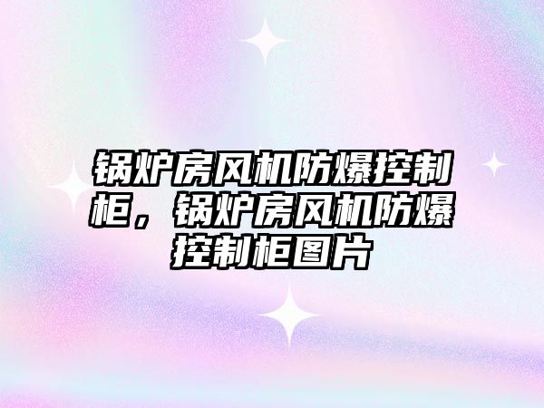 鍋爐房風(fēng)機(jī)防爆控制柜，鍋爐房風(fēng)機(jī)防爆控制柜圖片