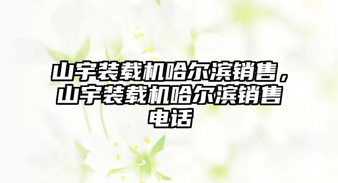 山宇裝載機(jī)哈爾濱銷售，山宇裝載機(jī)哈爾濱銷售電話