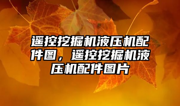 遙控挖掘機(jī)液壓機(jī)配件圖，遙控挖掘機(jī)液壓機(jī)配件圖片