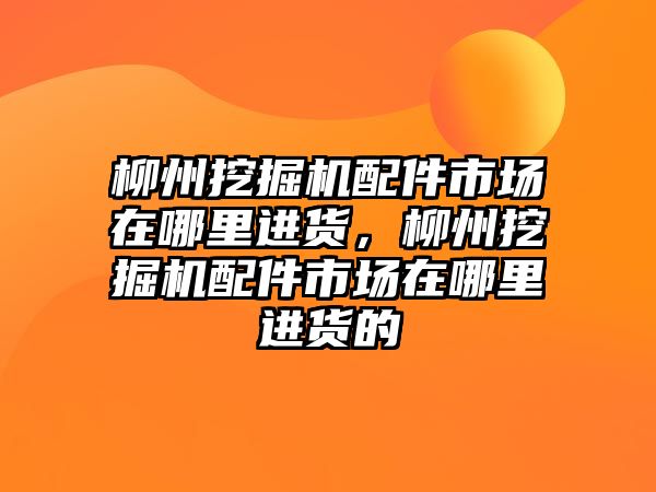 柳州挖掘機(jī)配件市場在哪里進(jìn)貨，柳州挖掘機(jī)配件市場在哪里進(jìn)貨的
