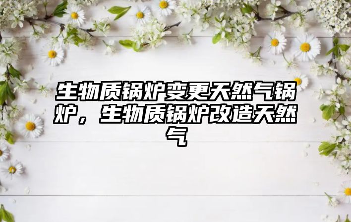 生物質(zhì)鍋爐變更天然氣鍋爐，生物質(zhì)鍋爐改造天然氣