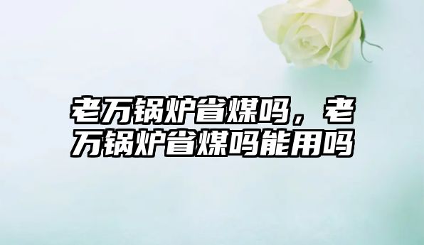 老萬鍋爐省煤嗎，老萬鍋爐省煤嗎能用嗎