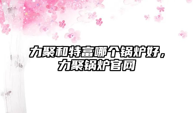 力聚和特富哪個鍋爐好，力聚鍋爐官網(wǎng)