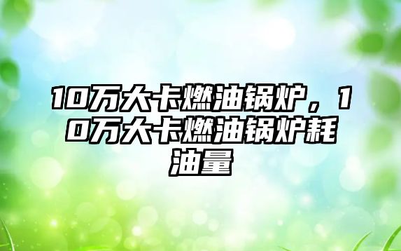 10萬(wàn)大卡燃油鍋爐，10萬(wàn)大卡燃油鍋爐耗油量