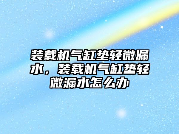裝載機(jī)氣缸墊輕微漏水，裝載機(jī)氣缸墊輕微漏水怎么辦