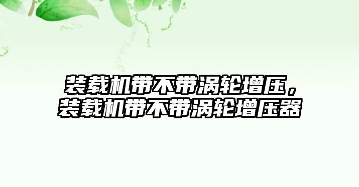 裝載機(jī)帶不帶渦輪增壓，裝載機(jī)帶不帶渦輪增壓器