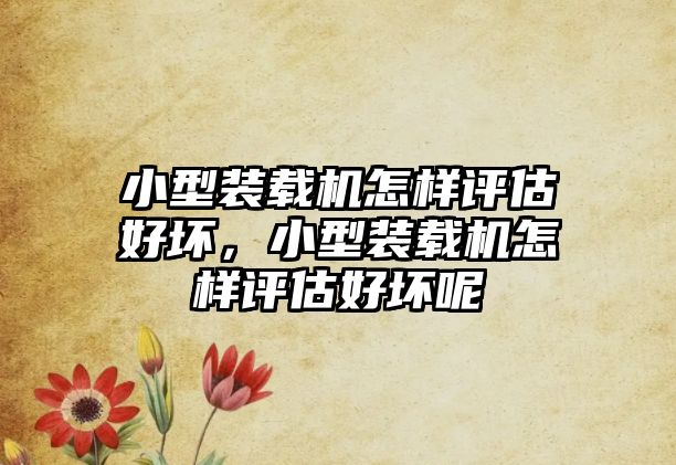 小型裝載機(jī)怎樣評估好壞，小型裝載機(jī)怎樣評估好壞呢