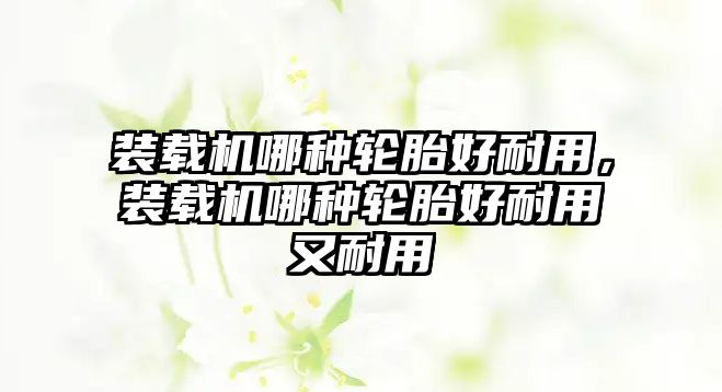 裝載機哪種輪胎好耐用，裝載機哪種輪胎好耐用又耐用