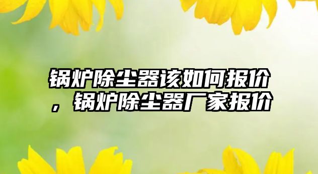 鍋爐除塵器該如何報價，鍋爐除塵器廠家報價