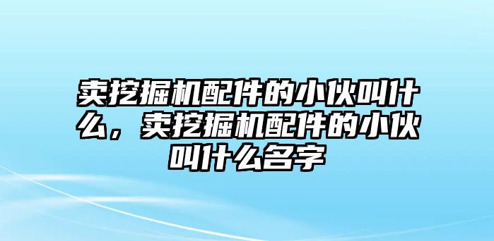 賣(mài)挖掘機(jī)配件的小伙叫什么，賣(mài)挖掘機(jī)配件的小伙叫什么名字
