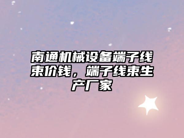 南通機械設(shè)備端子線束價錢，端子線束生產(chǎn)廠家