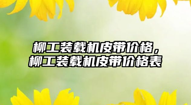 柳工裝載機(jī)皮帶價(jià)格，柳工裝載機(jī)皮帶價(jià)格表