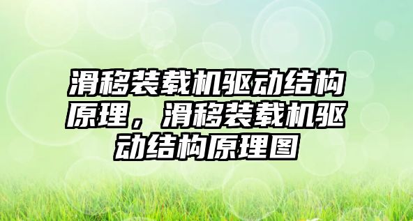 滑移裝載機(jī)驅(qū)動(dòng)結(jié)構(gòu)原理，滑移裝載機(jī)驅(qū)動(dòng)結(jié)構(gòu)原理圖