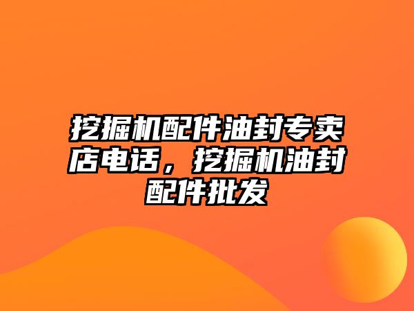 挖掘機(jī)配件油封專賣店電話，挖掘機(jī)油封配件批發(fā)