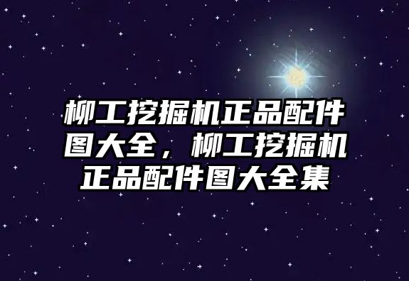 柳工挖掘機(jī)正品配件圖大全，柳工挖掘機(jī)正品配件圖大全集