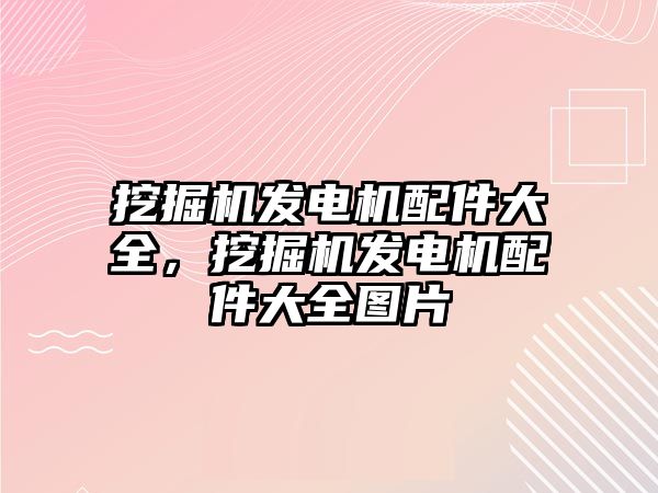 挖掘機(jī)發(fā)電機(jī)配件大全，挖掘機(jī)發(fā)電機(jī)配件大全圖片