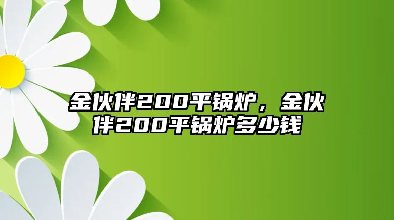 金伙伴200平鍋爐，金伙伴200平鍋爐多少錢