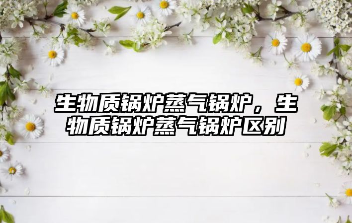 生物質(zhì)鍋爐蒸氣鍋爐，生物質(zhì)鍋爐蒸氣鍋爐區(qū)別