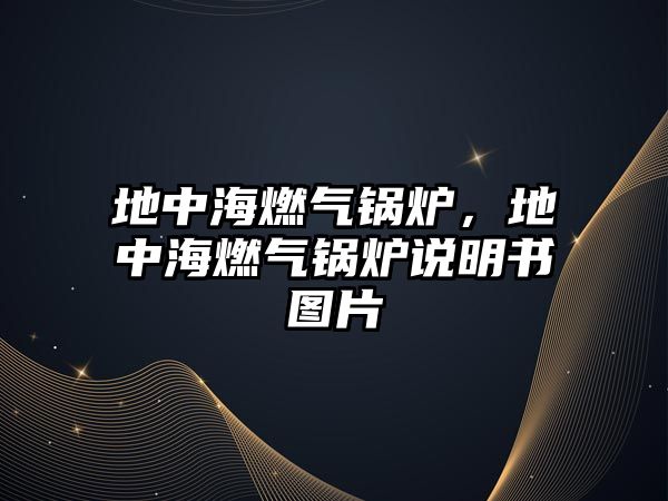地中海燃?xì)忮仩t，地中海燃?xì)忮仩t說(shuō)明書(shū)圖片